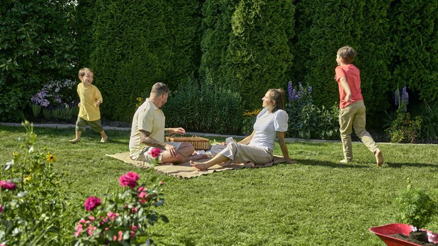 Pourquoi 80% des pelouses belges sont décevantes